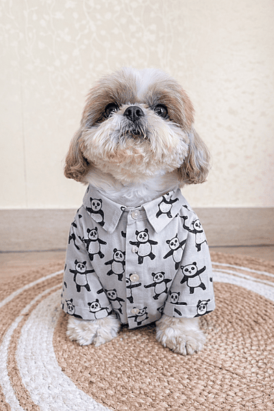 Panda Shirt