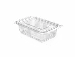 PET Hinged Containers: AT 350/350