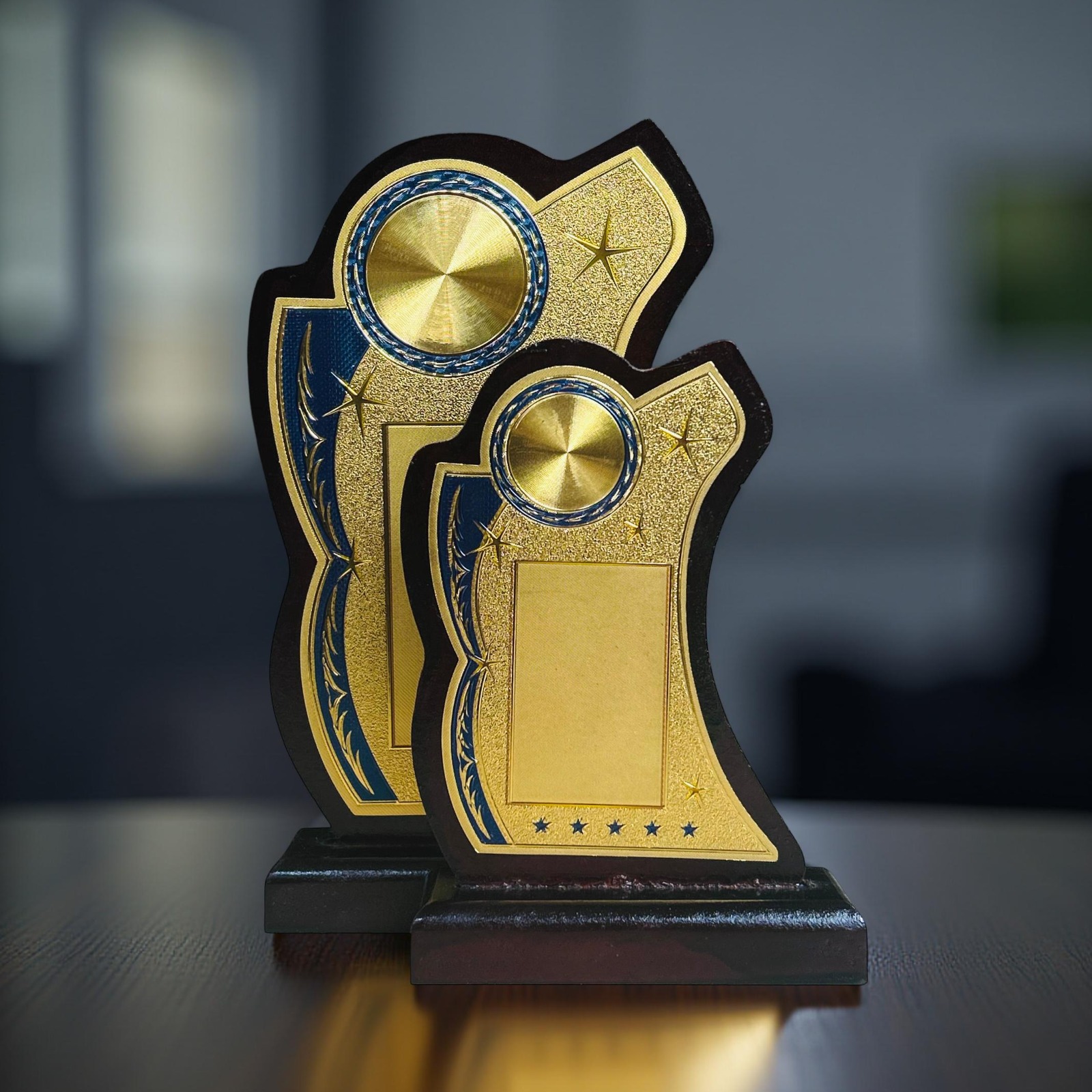 W-1094L TROPHY19CM
