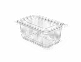 PET Hinged Containers: AT 350/475
