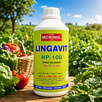 Micronol Lingavit | Vetrivel Agro Services