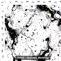 99955 Abstract Marbling