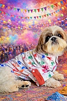 Holi Paw Print Kurta