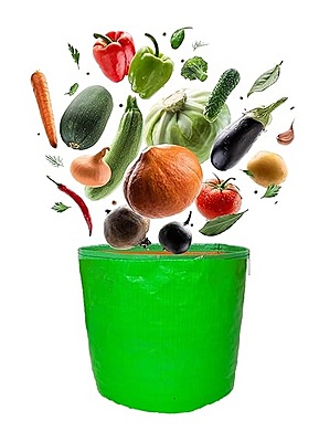 GML Grow Green 09 X 12 Inch (Dia X Height) HDPE Grow Bag (Round) - 220 GSM - Multipack: Pack of 1