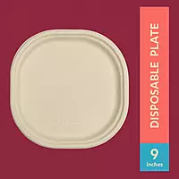 CHUK 9" Disposable Plate