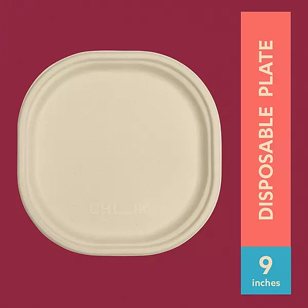 CHUK 9" Disposable Plate