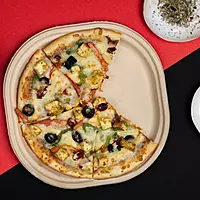 CHUK 9" Disposable Plate