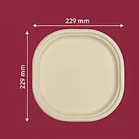CHUK 9" Disposable Plate