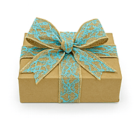 Natural Jute Ribbon with Blue Net Lace