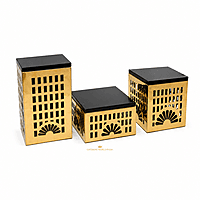 RISER BLACK GOLD SS