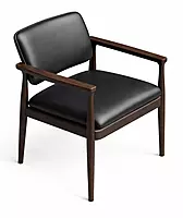 Fern Dining Arm Chair