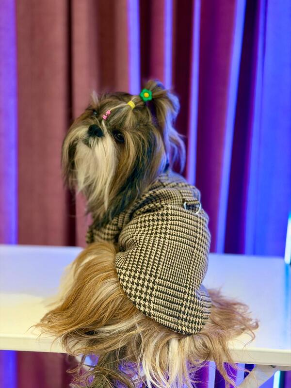 Brown Checkered Winter Coat