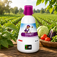 Coragen Insecticide | Vetrivel Agro Services