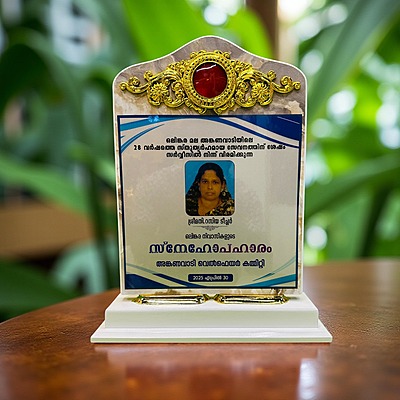 E-W6881M 38.50CM 18%