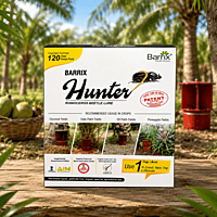 Barrix Hunter® Rhinoceros Beetle Trap & Lure | Vetrivel Agro Services