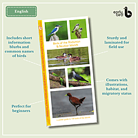 Early Bird Pocket Guides