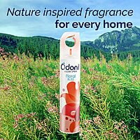 Odonil Room Air Freshner Spray 220 ML