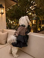 Royal Midnight Princess Dress