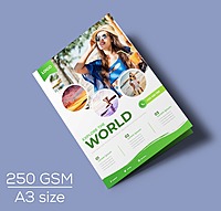 A3 Brochure- 250 gsm
