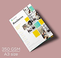 A3 Brochure- 350 gsm
