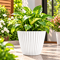 8 Inch Muddy Planters | ECSHA