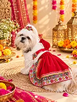 Navratri Special Red Lehenga Choli for Pets