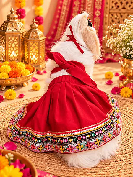 Navratri Special Red Lehenga Choli for Pets