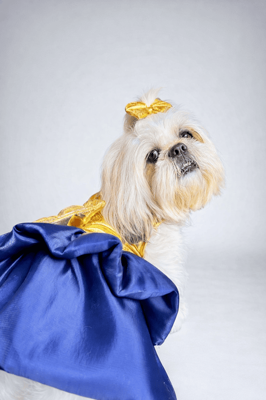 Golden Blue Party Dress