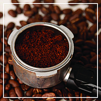 Arabica Coffee Powder