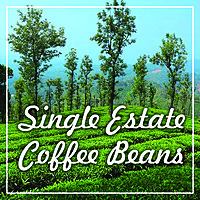 Arabica Coffee Powder