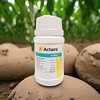 ACTARA by Syngenta