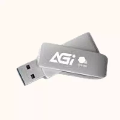 AGI 256 GB USB Flash Drive - UE138B
