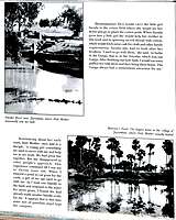 Sarada Devi: A Biography in Pictures Sarada Devi: A Biography in Pictures