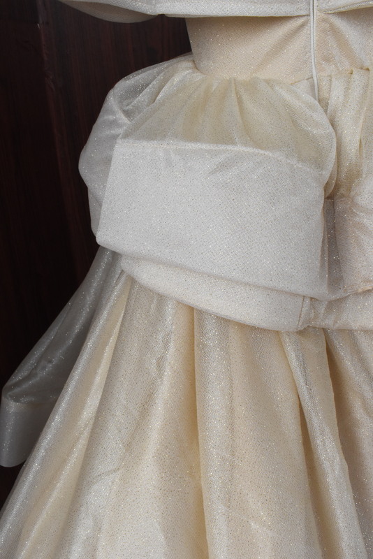 Ivory Moonlight Elegance Organza Dress