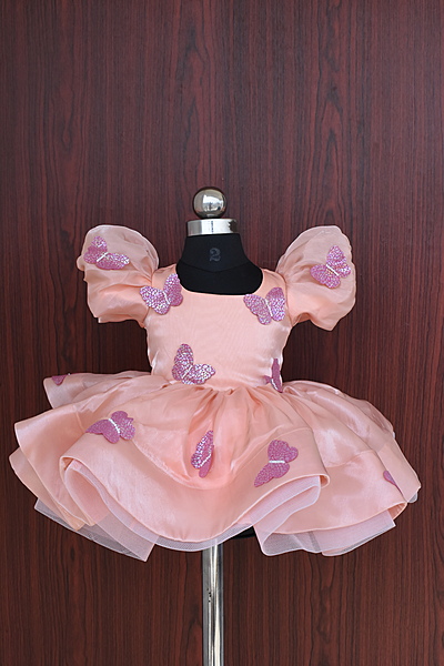 Peach Organza Butterfly Dress