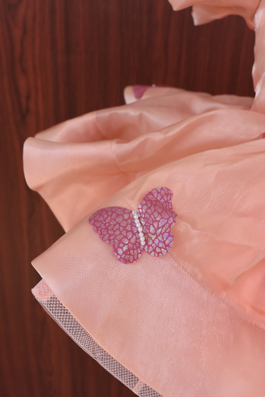 Peach Organza Butterfly Dress