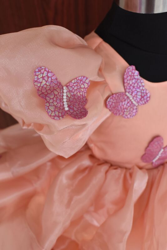 Peach Organza Butterfly Dress