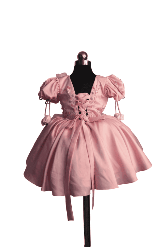 Blush Pink Butterfly Embroidered Dress