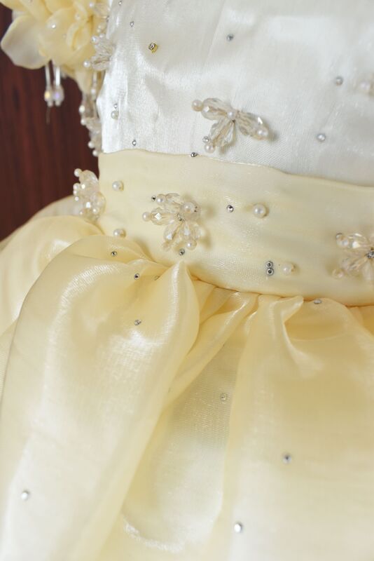 Ivory Flower & Pearl Sleeve Dress