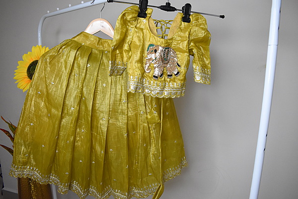 Golden Mustard Embroidered Lehenga Choli