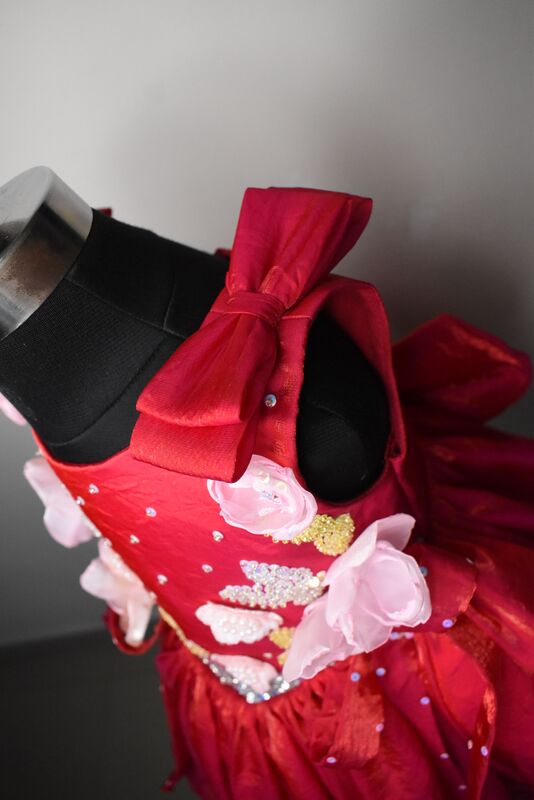 Red Floral 3D Applique Party Dress