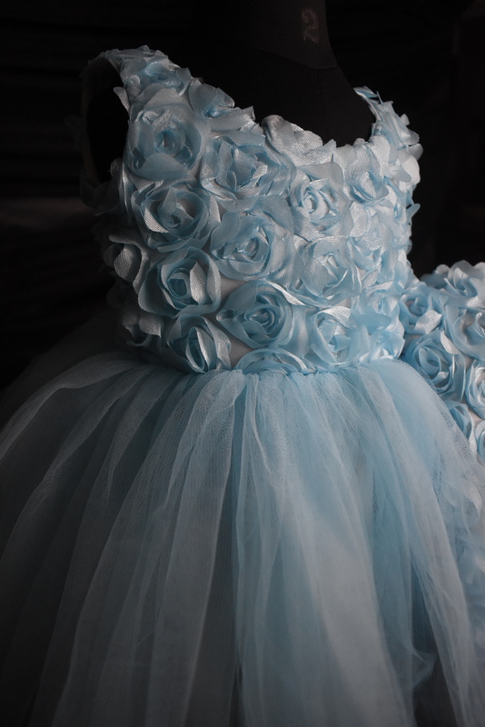 Powder Blue Floral Tulle Dress