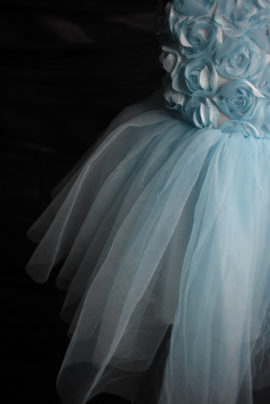 Powder Blue Floral Tulle Dress
