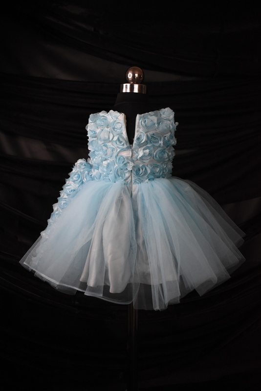Powder Blue Floral Tulle Dress