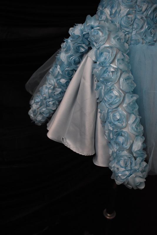 Powder Blue Floral Tulle Dress