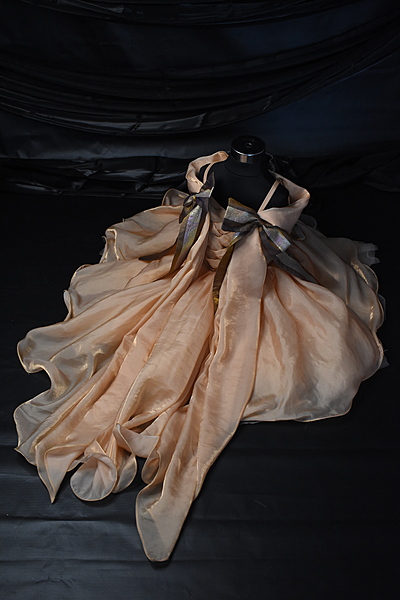 Opulent Blush Silk Dress