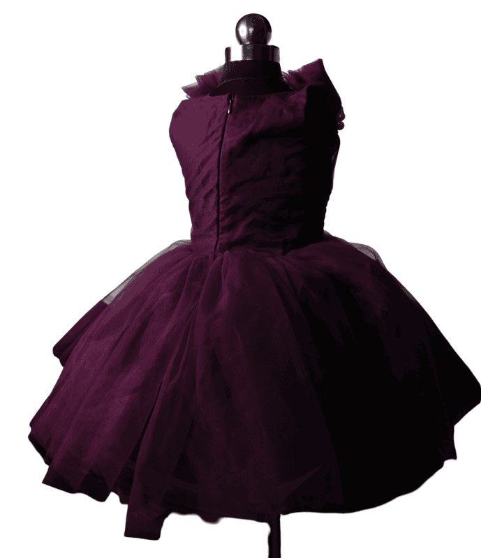 Plum Pearl Velvet Princess Dress
