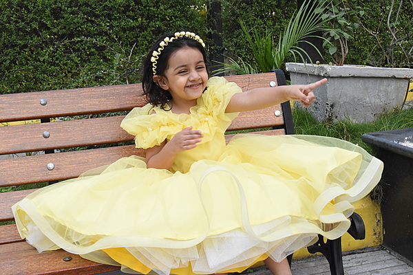Vibrant Yellow Organza Dress