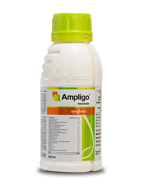 Ampligo Insecticide – Chlorantraniliprole 9.3% + Lambda Cyhalothrin 4.6% ZC - 100 ml