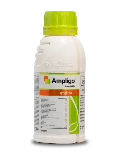 Ampligo Insecticide – Chlorantraniliprole 9.3% + Lambda Cyhalothrin 4.6% ZC - 100 ml
